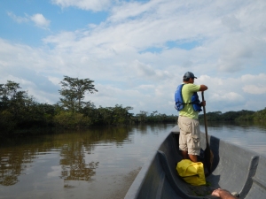 Guilver keeping all senses peeled for illusive amazonian critters.